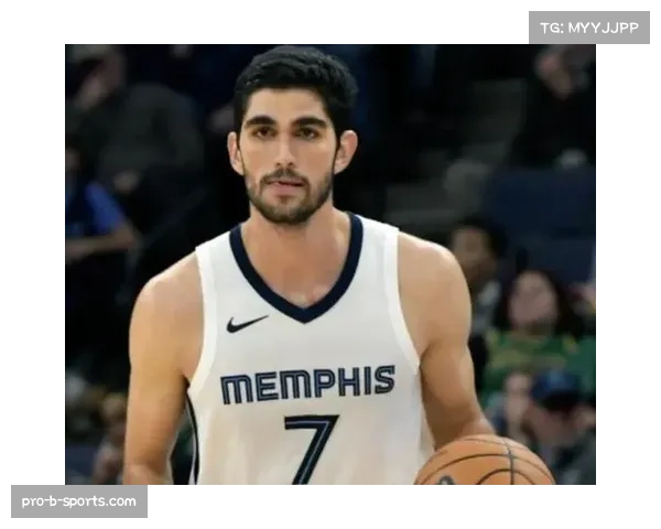 灰熊阿尔达马右膝疼痛 将接受关节镜手术赛季报销